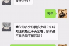 要账会有什么后果？深入了解债务追收的风险与应对