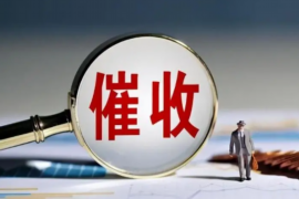 西陵收账公司：专业解决债务难题，助力企业稳健发展