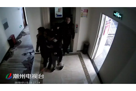 行政催收不交社保：企业与员工的社会责任与法律责任